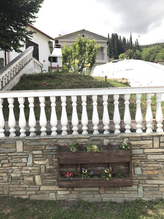 Villa Paradisos Likostomon Exterior photo